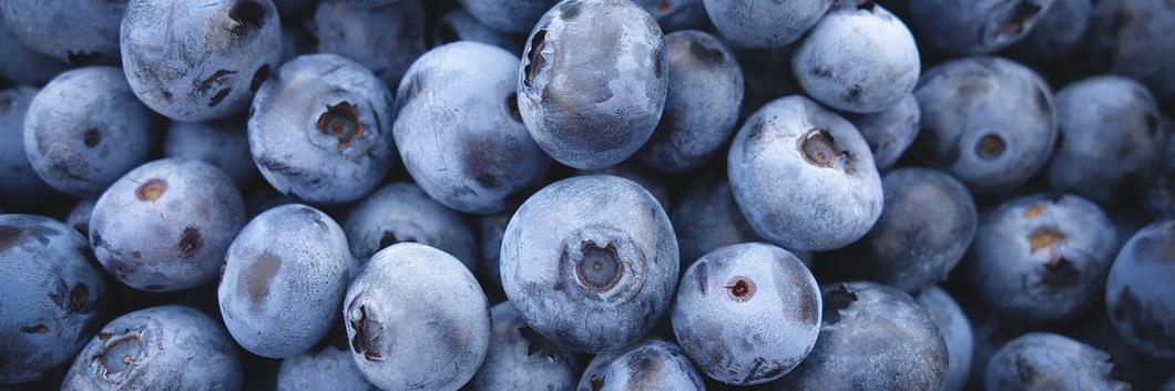 Blueberries