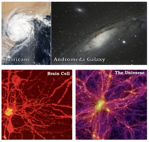 Microcosm&Macrocosm2